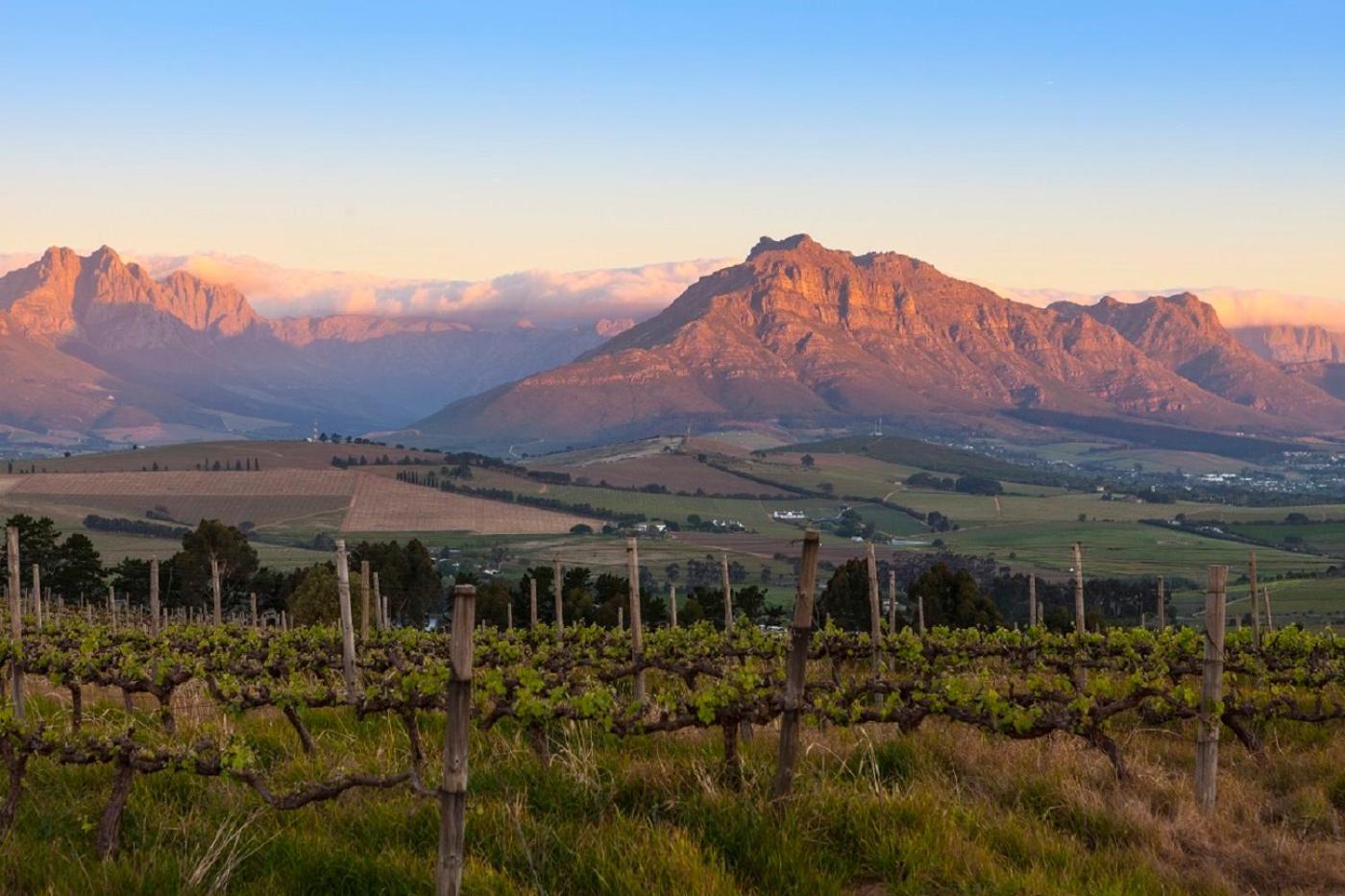 Domaine Coutelier Apartment Stellenbosch Bagian luar foto